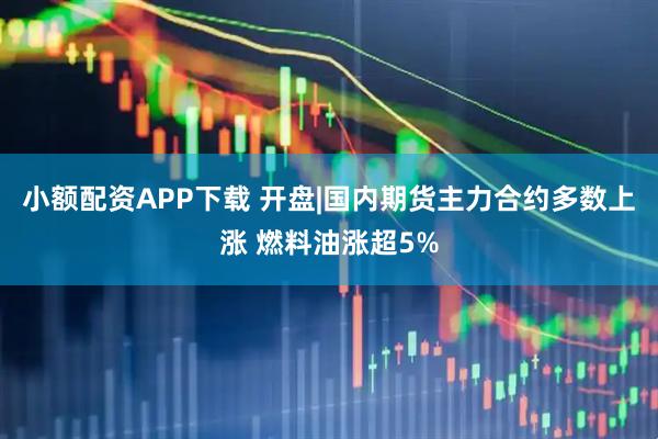小额配资APP下载 开盘|国内期货主力合约多数上涨 燃料油涨超5%