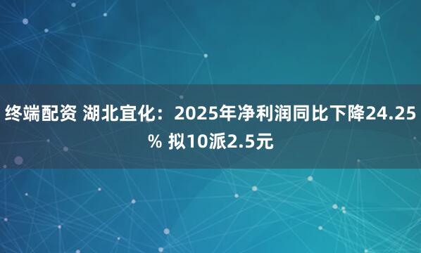 终端配资 湖北宜化：2025年净利润同比下降24.25% 拟10派2.5元